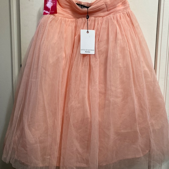 Beautiful Little mistress pink tulle skirt - Picture 3 of 4